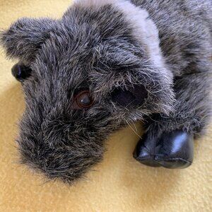 Plush Javelina